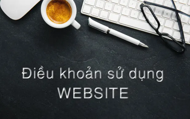 dieu khoan su dung website