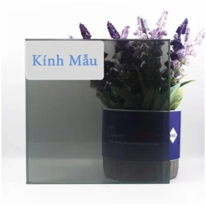 Kính cường lực màu xám khói